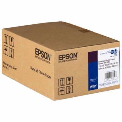 epson surelab photo paper gloss ds 190 210 g 10 2 x 15 3 cm 800 blatt